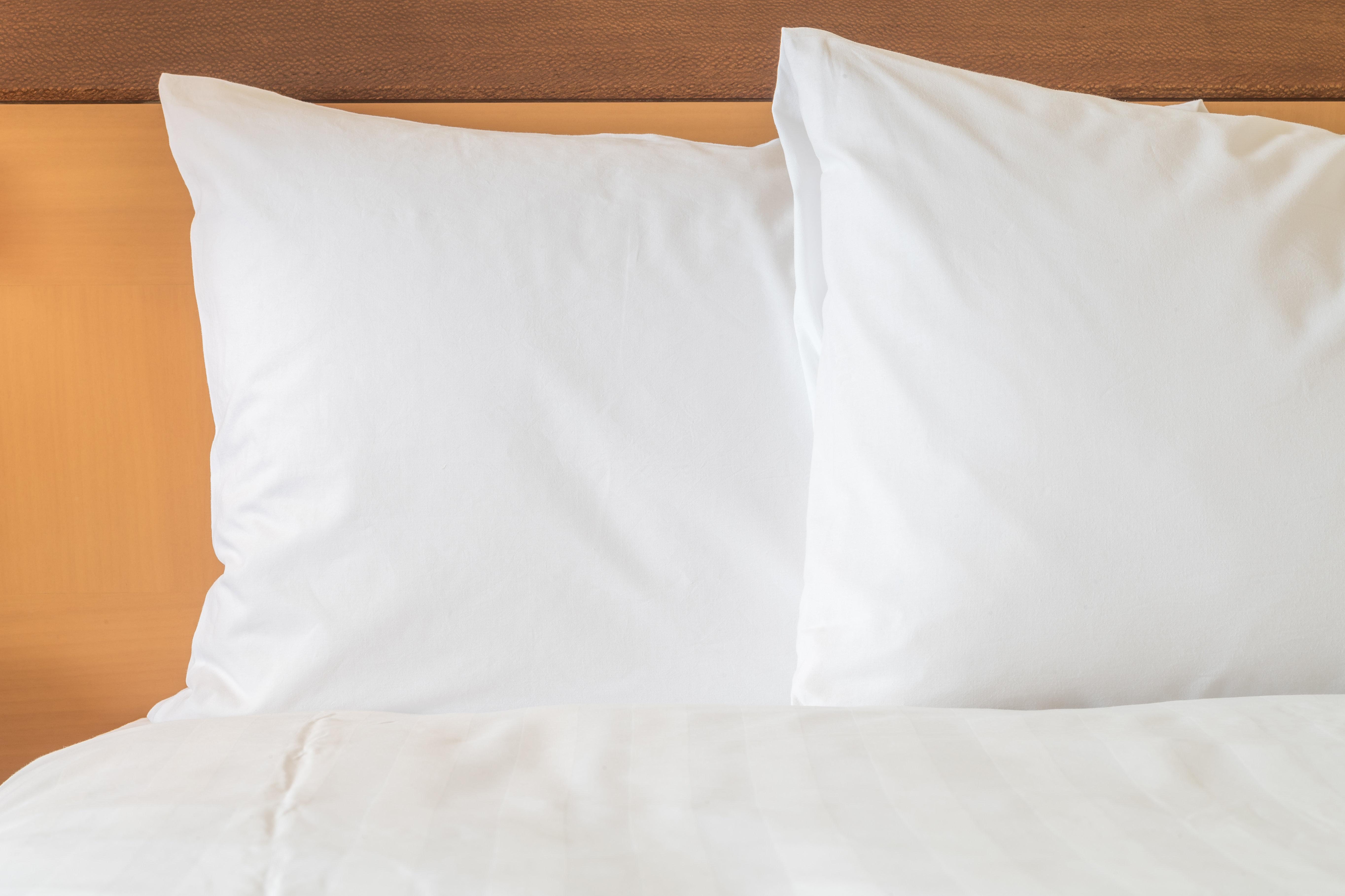 Hotel Sonesta Simply Knoxville